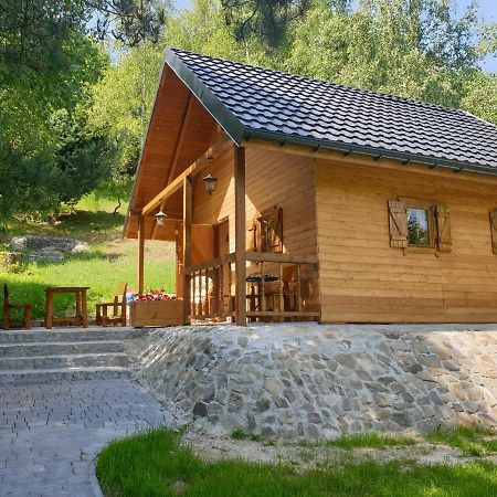 Domki Letniskowe Pod Lasem Koziniec Esterno foto