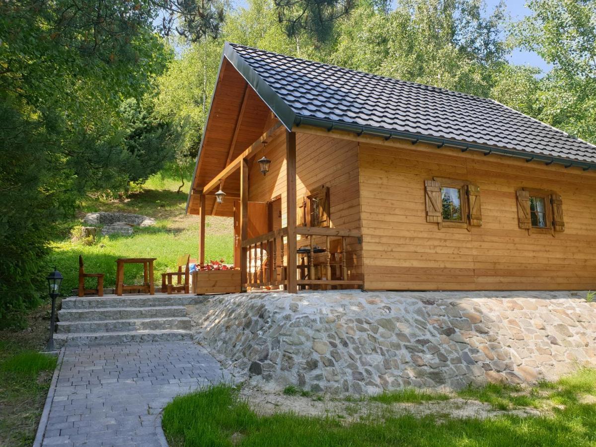 Domki Letniskowe Pod Lasem Koziniec Esterno foto