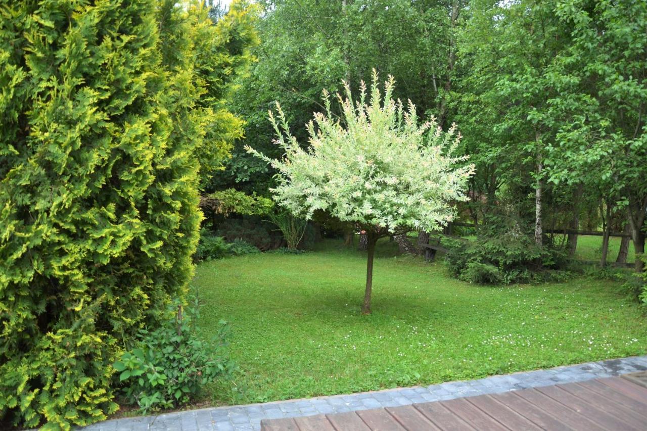 Domki Letniskowe Pod Lasem Koziniec Esterno foto