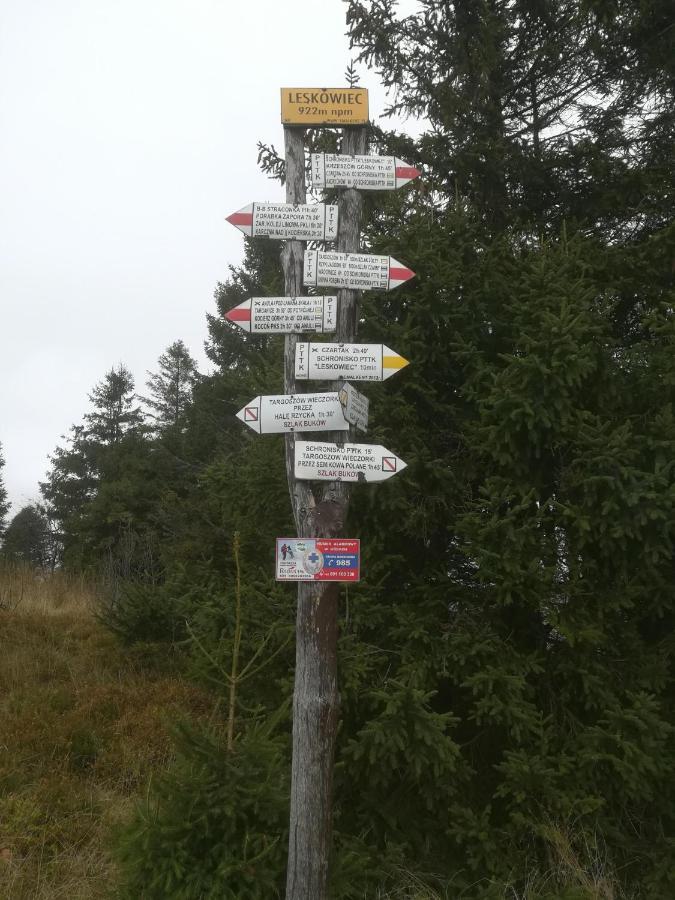 Domki Letniskowe Pod Lasem Koziniec Esterno foto