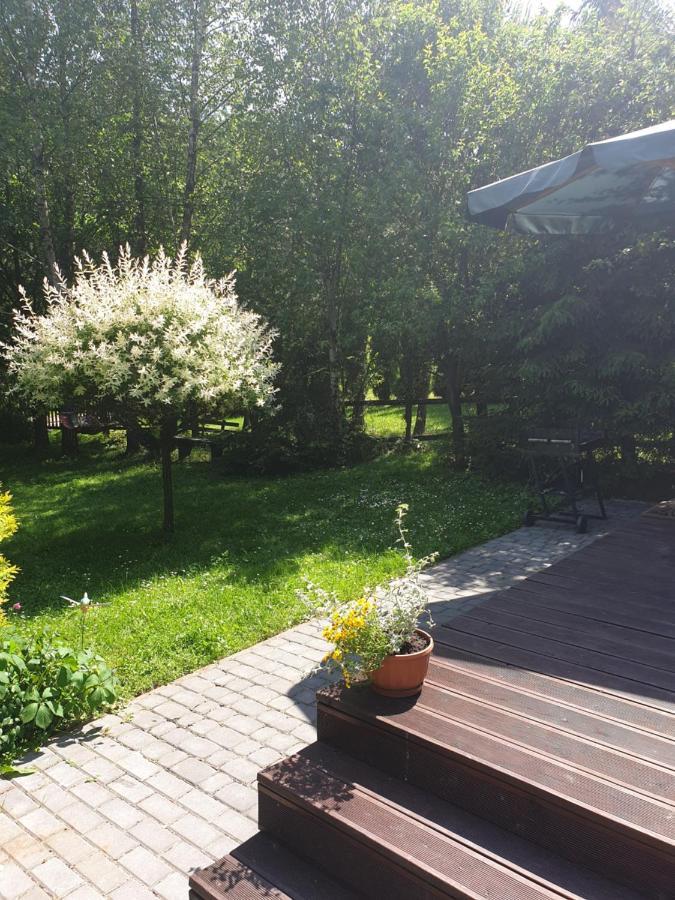 Domki Letniskowe Pod Lasem Koziniec Esterno foto