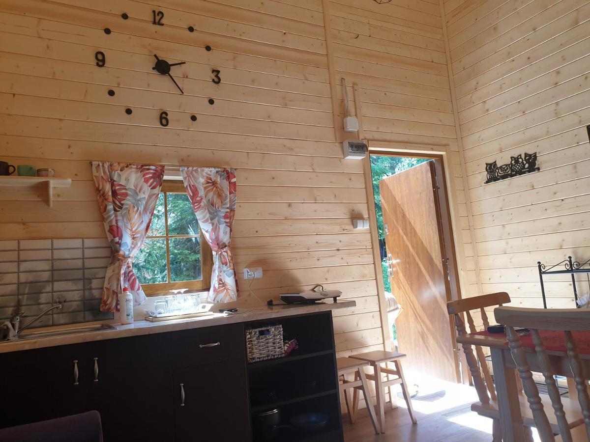 Domki Letniskowe Pod Lasem Koziniec Esterno foto